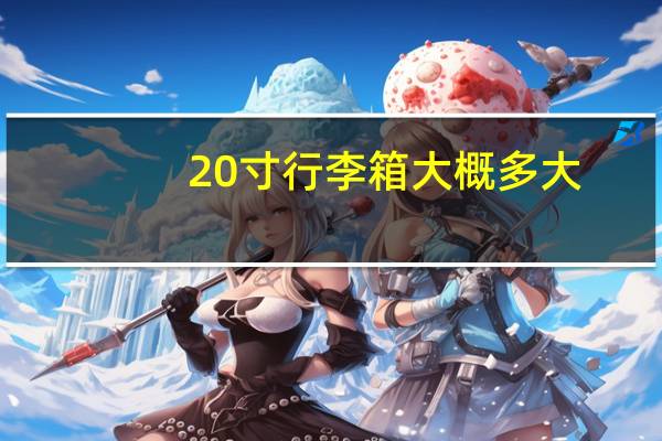 20寸行李箱大概多大