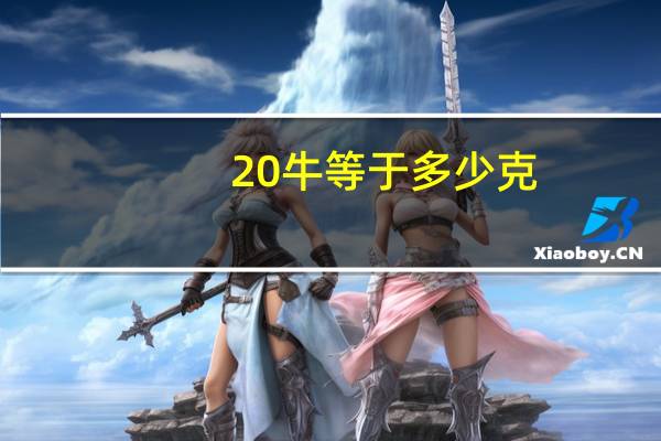 20牛等于多少克