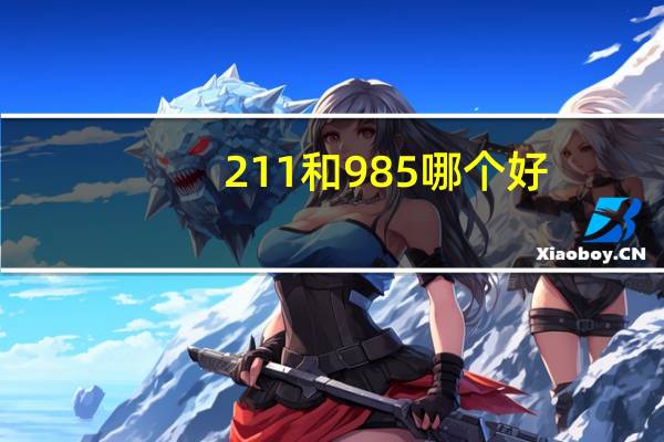 211和985哪个好 哪个厉害