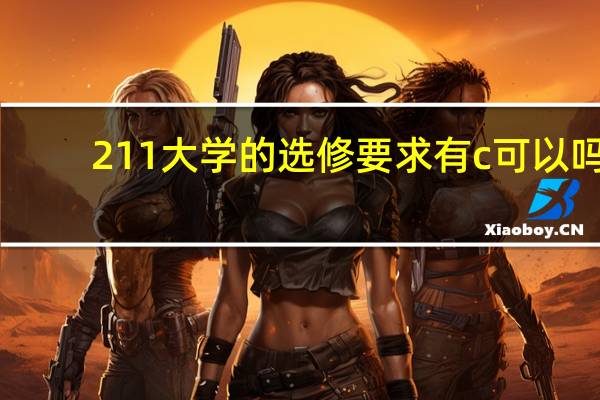 211大学的选修要求有c可以吗