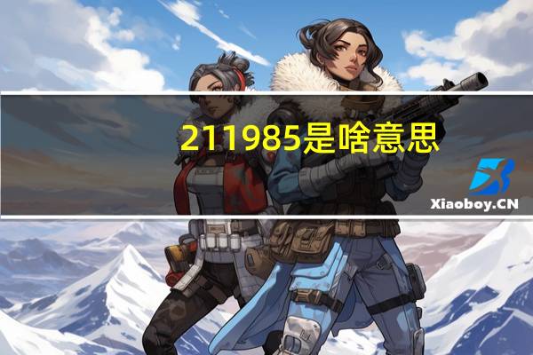 211985是啥意思