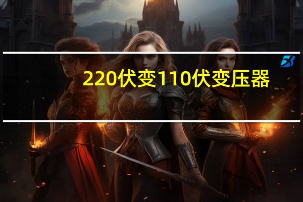 220伏变110伏变压器