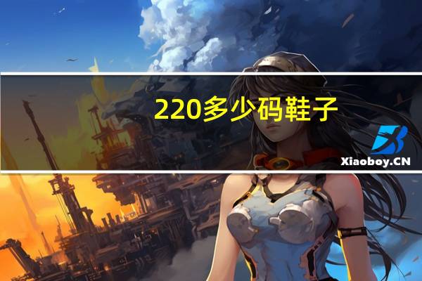 220多少码鞋子