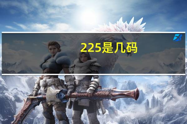 225是几码