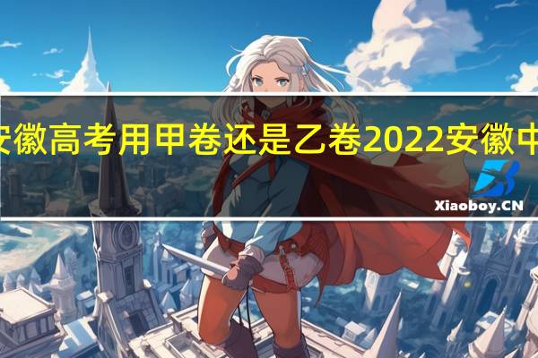 23年安徽高考用甲卷还是乙卷 2022安徽中考数学试卷