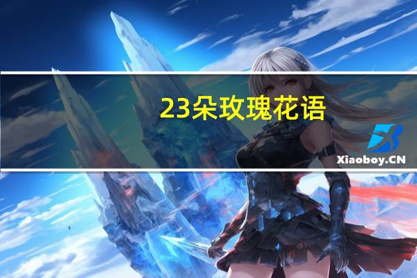23朵玫瑰花语