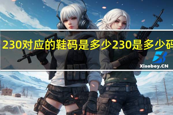 230对应的鞋码是多少 230是多少码的鞋