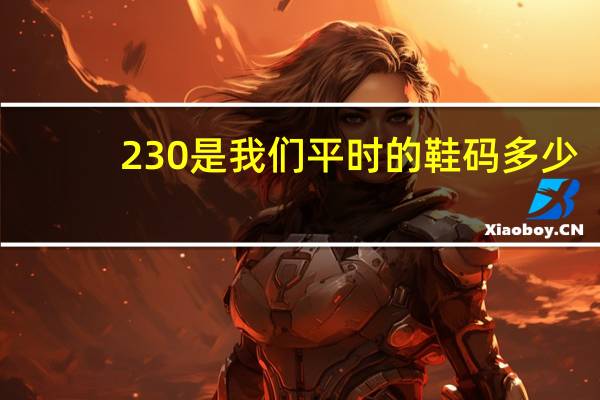 230是我们平时的鞋码多少