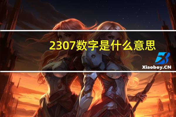 2307数字是什么意思