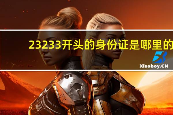 23233开头的身份证是哪里的