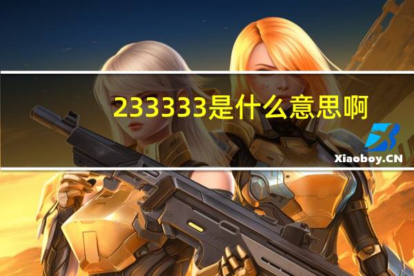 233333是什么意思啊