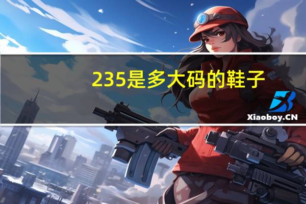 235是多大码的鞋子