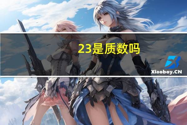 23是质数吗