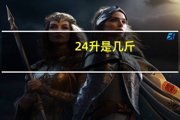 24升是几斤