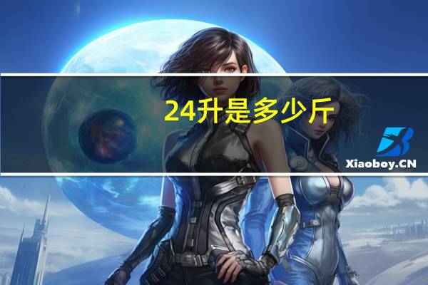 24升是多少斤