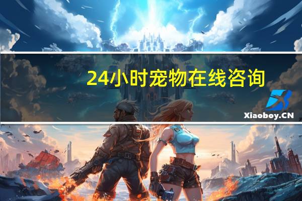24小时宠物在线咨询