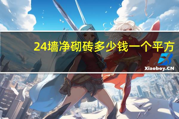 24墙净砌砖多少钱一个平方