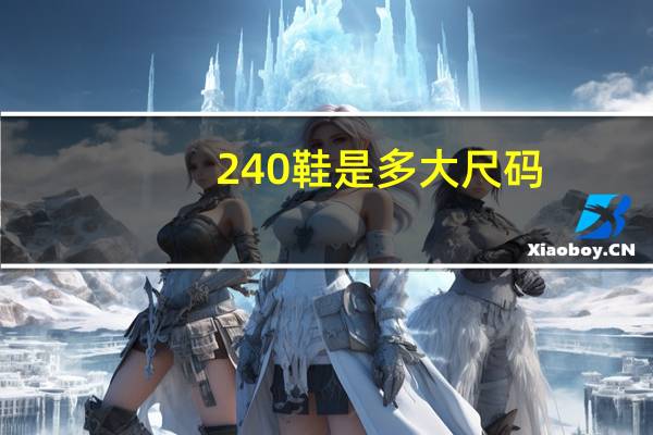 240鞋是多大尺码