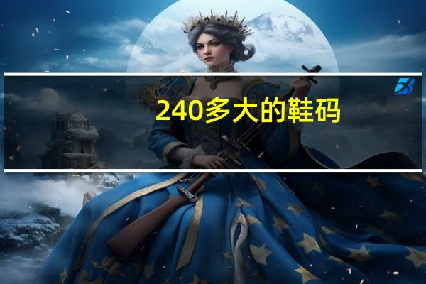 240多大的鞋码