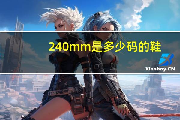 240mm是多少码的鞋
