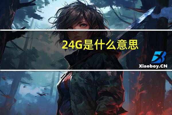 24G是什么意思