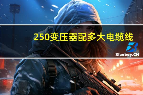 250变压器配多大电缆线