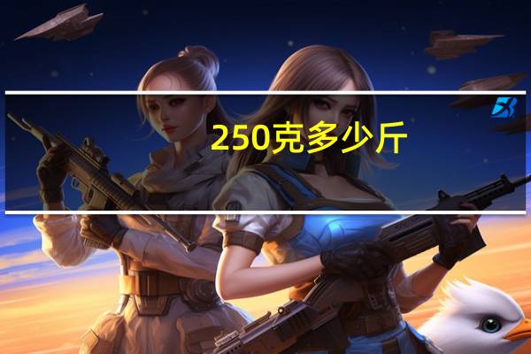 250克多少斤
