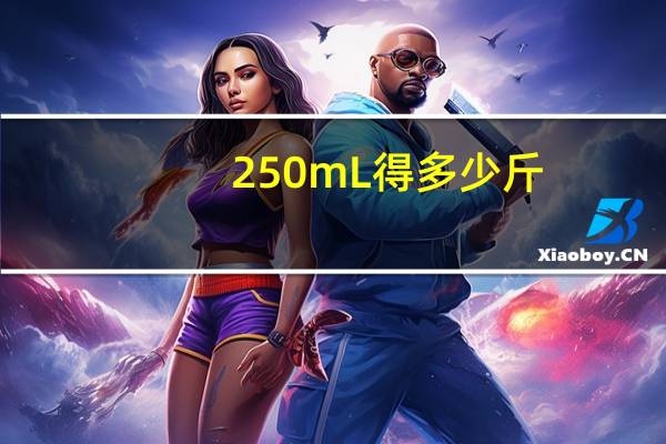 250mL得多少斤