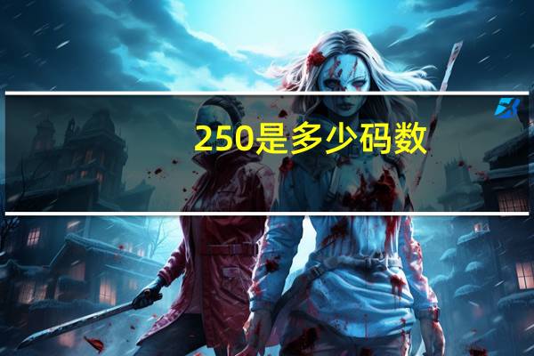 250是多少码数