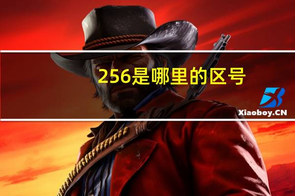 256是哪里的区号