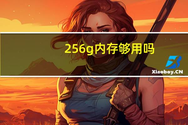 256g内存够用吗