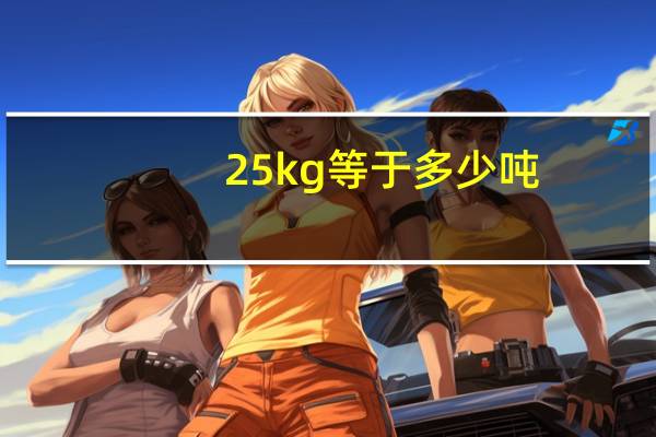 25kg等于多少吨