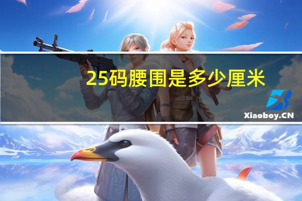 25码腰围是多少厘米