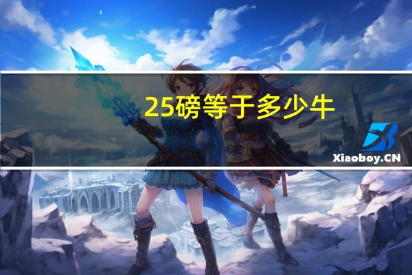 25磅等于多少牛