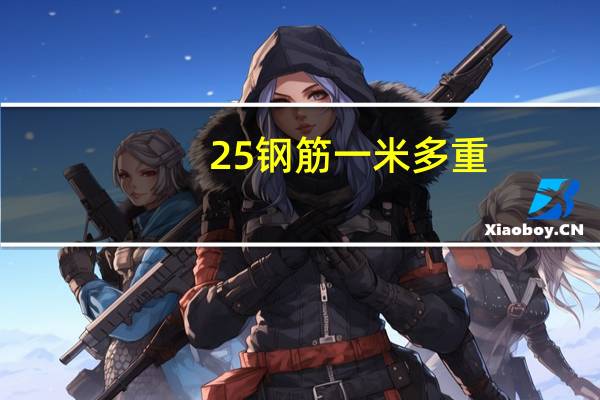 25钢筋一米多重
