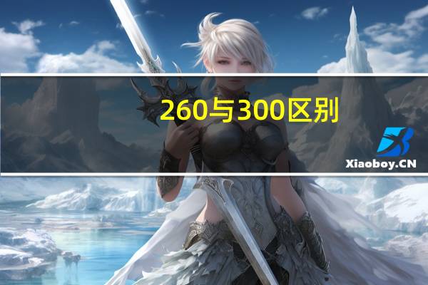 260与300区别