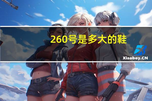 260号是多大的鞋