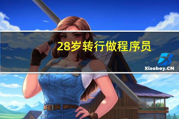 28岁转行做程序员