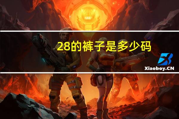 28的裤子是多少码