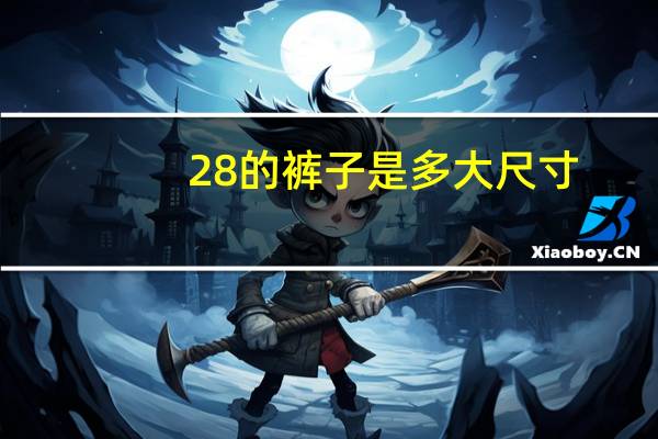 28的裤子是多大尺寸