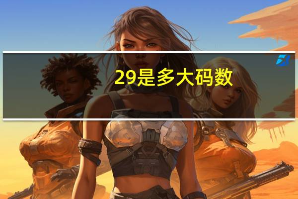 29是多大码数
