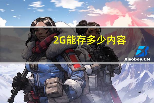 2G 能存多少内容