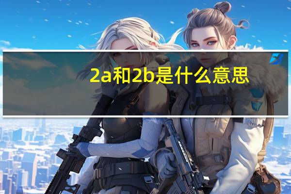 2 a和2 b是什么意思