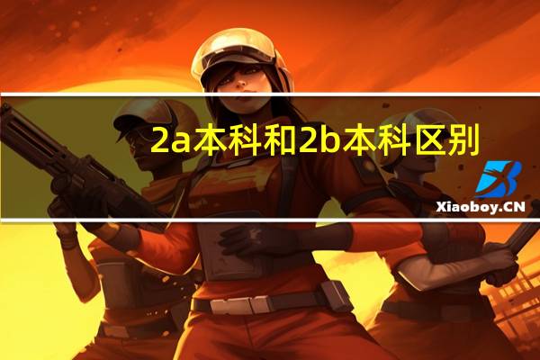 2a本科和2b本科区别