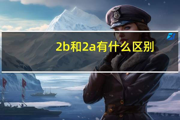 2b和2a有什么区别