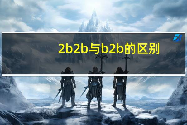 2b2b与b2b的区别