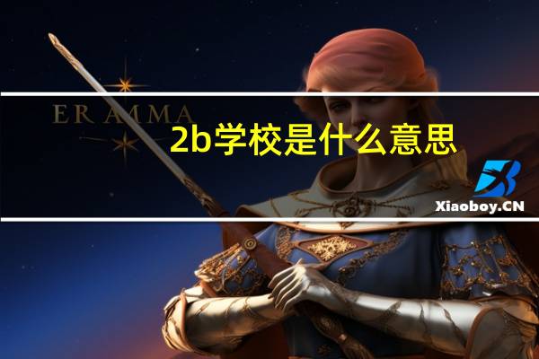 2b学校是什么意思