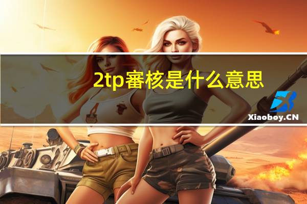 2tp審核是什么意思