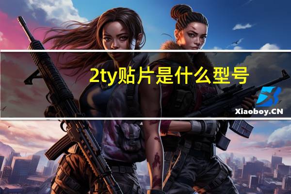 2ty贴片是什么型号