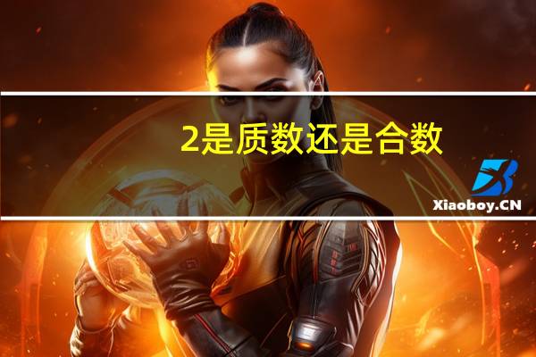 2是质数还是合数